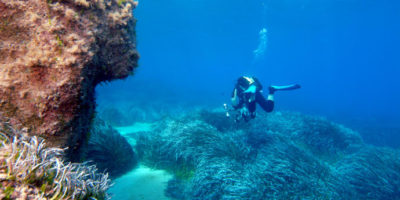 Upptäck Cyperns undervattensvärld